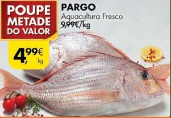 Pargo kg