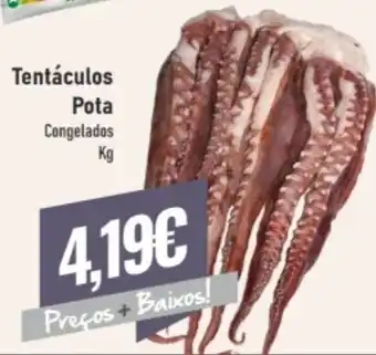 Tentáculos Pota kg