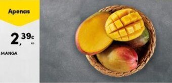 Continente MANGA KG promoção