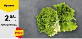 Continente ALFACE FRISADA KG promoção