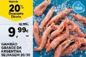 Continente GAMBAO GRANDE DA ARGENTINA SELVAGEM 20/30 promoção