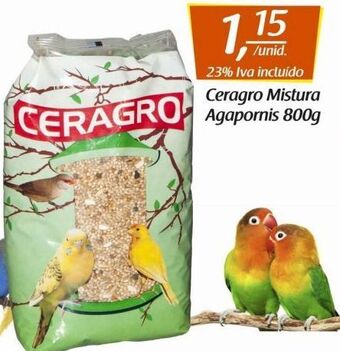 Comida para pássaros