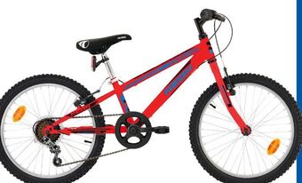 Bicicleta