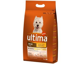 Auchan Ração cão ultima promoção