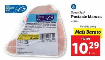 Lidl Peixe ocean sea promoção