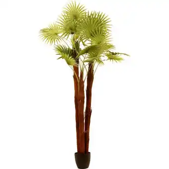 Hôma Planta palmeira artificial 180cm promoção