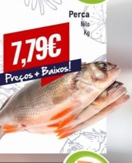 Belita Peixe promoção