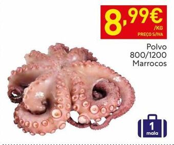Recheio Polvo promoção