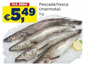 Pescada fresca (marmota) kg.
