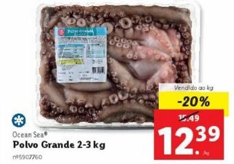 Lidl Polvo ocean sea promoção