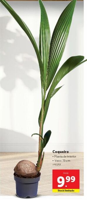 Lidl Plantas promoção