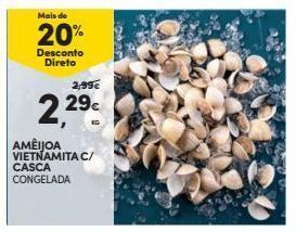 Continente Bom dia Marisco promoção