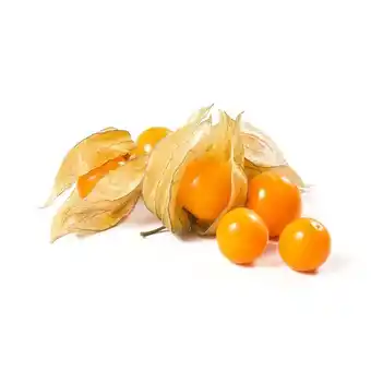 Go Natural Physalis bio emb. 125 gr promoção