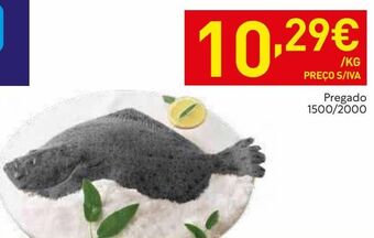 Recheio Peixe promoção