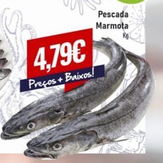 Belita Peixe promoção
