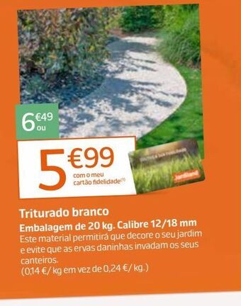 Jardim
