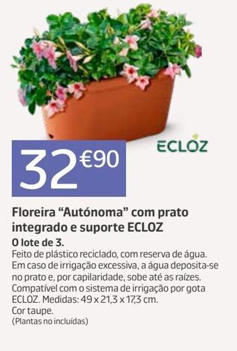 Jardiland Plantas promoção