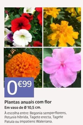 Jardiland Plantas promoção
