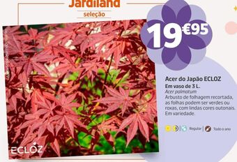 Jardiland Plantas promoção