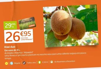 Jardiland Kiwi promoção