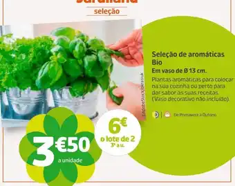 Jardiland Plantas aromáticas promoção