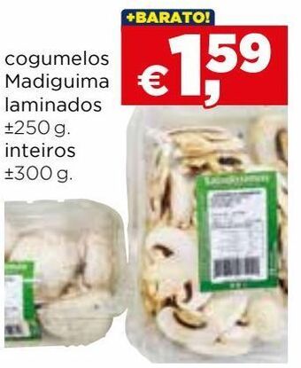Bolama Cogumelos promoção