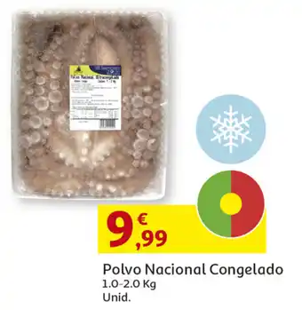 Polvo Nacional Congelado 1.0-2.0kg