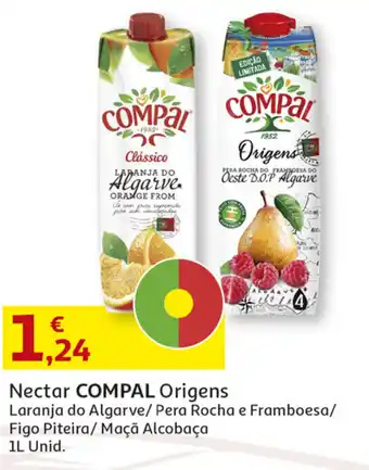 Auchan Nectar COMPAL Origens 1L promoção