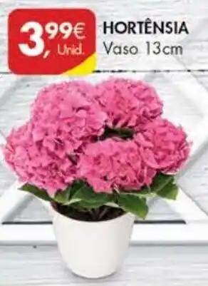Pingo Doce HORTENSIA Vaso 13cm promoção