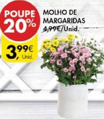 Pingo Doce Molho de MARGARIDAS promoção