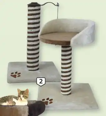 Arranhador Gato Bribon Ginásio Teco