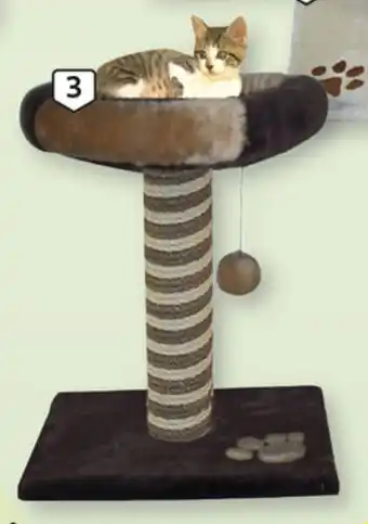 Auchan Arranhador Gato Bribon Ginásio Bed promoção