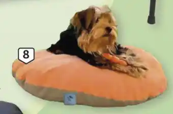 Auchan Almofada Oval Pet+ promoção