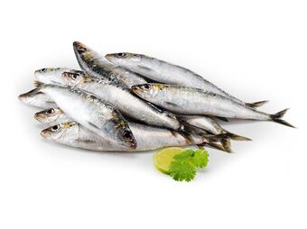 Sardinha fresca inteira kg