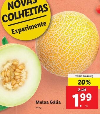 Lidl Melão promoção