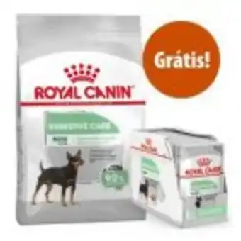 Royal canin 8 kg a 12 kg ração + 12 x 85 g comida húmida grátis!