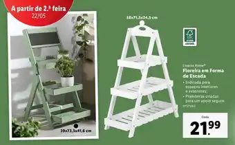 Lidl Estante de madeira promoção