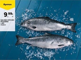 Continente SALMÃO INTEIRO PEQUENO 1-3KG FRESCO promoção