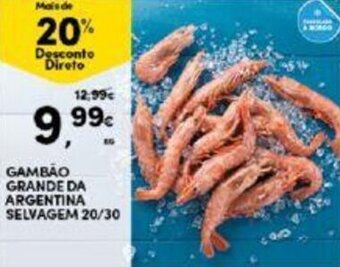 GAMBÃO GRANDE DA ARGENTINA SELVAGEM 20/30