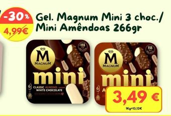 Gelados magnum