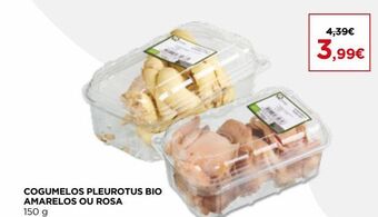 El Corte Inglés Cogumelos promoção