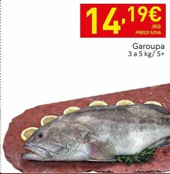 Recheio Peixe promoção