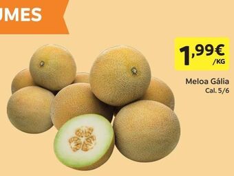 Amanhecer Melão promoção