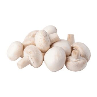 Cogumelos