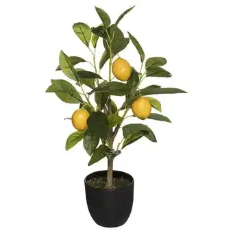 Planta limoeiro artificial com vaso 43cm