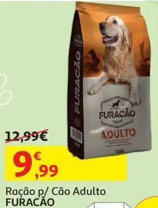 Auchan Ração cão adulto furacão promoção