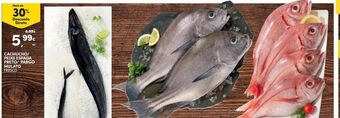 Continente Bom dia Peixe promoção