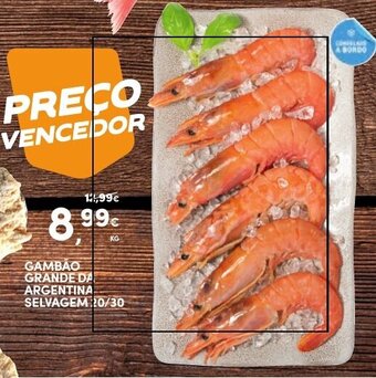 Continente GAMBAO GRANDE DA ARGENTINA SELVAGEM 20/30 promoção
