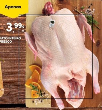Continente PATO INTEIRO FRESCO promoção