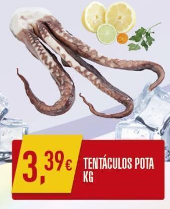 Tentáculos de lula